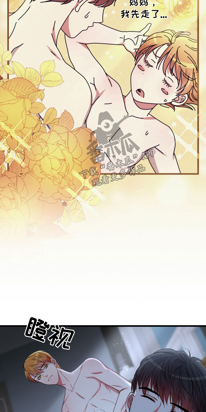 申请核减典型案例报送的情况说明漫画,第49章：【第二季】孤僻万人迷：正式交往1图