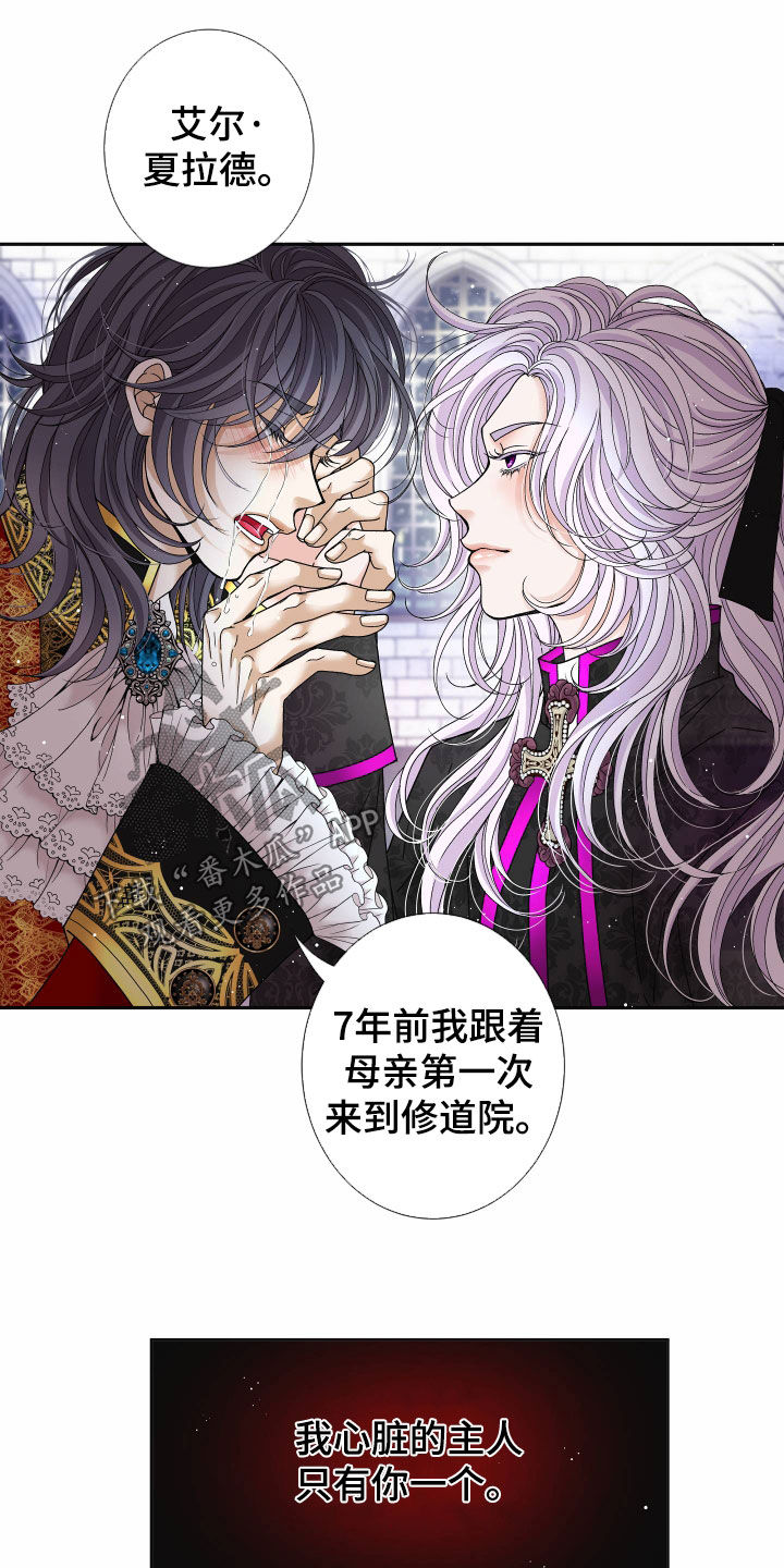 申请核减典型案例报送的情况说明漫画,第84章：【第二季】皇权与爱：新皇（完）2图
