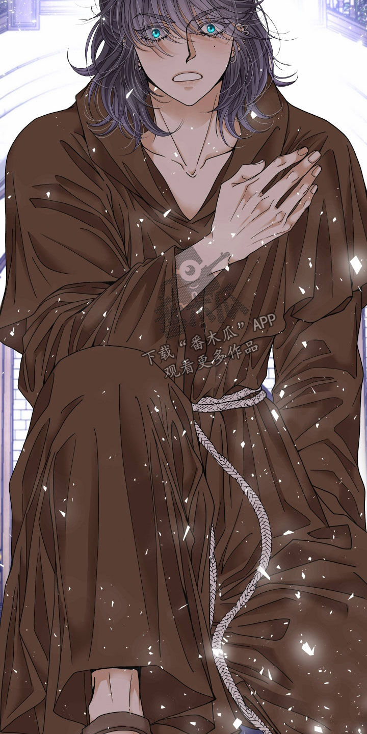 申请核减典型案例报送的情况说明漫画,第84章：【第二季】皇权与爱：新皇（完）1图