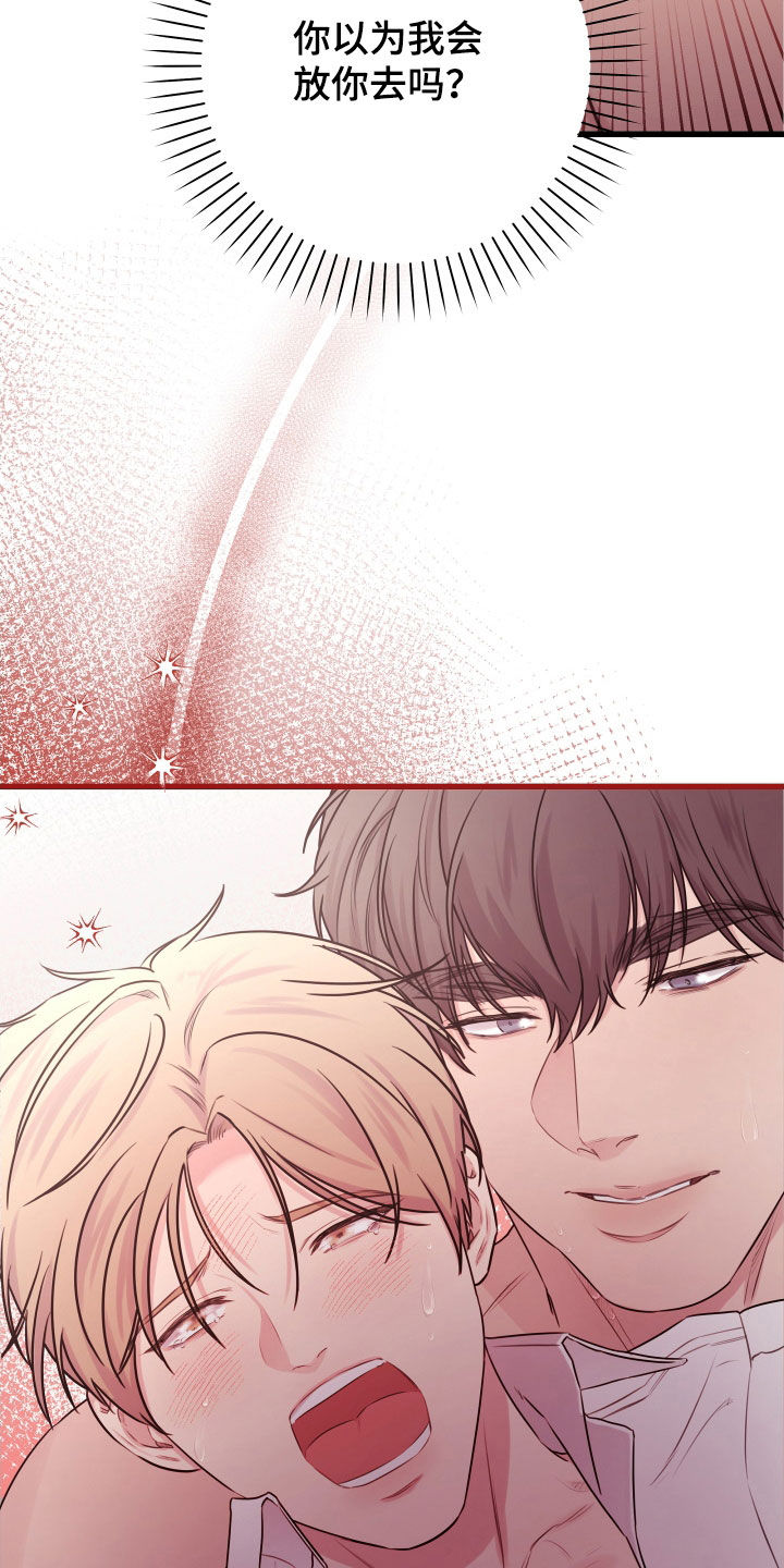 申请核减典型案例报送的情况说明漫画,第63章：【第二季】野兽与疯狗：误会2图