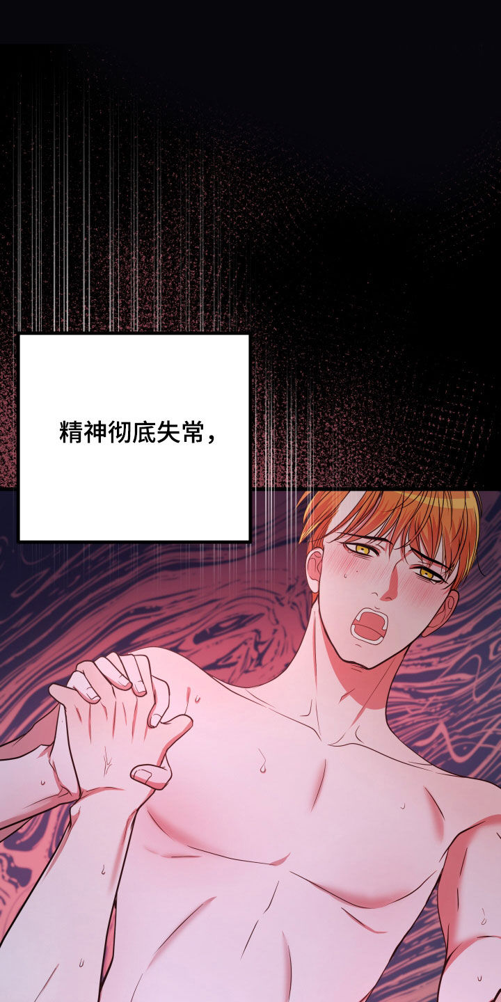 申请核减典型案例报送的情况说明漫画,第49章：【第二季】孤僻万人迷：正式交往2图