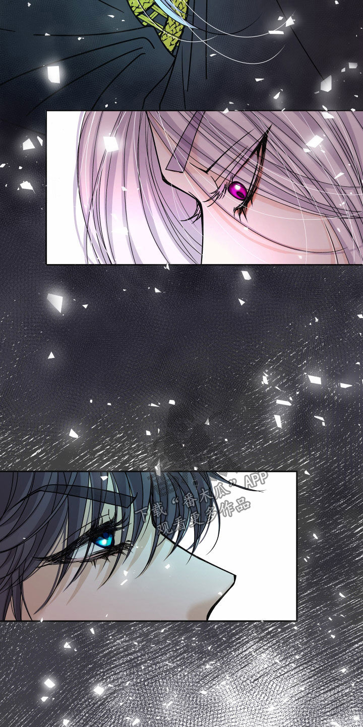 申请核减典型案例报送的情况说明漫画,第79章：【第二季】皇权与爱：一场错误2图