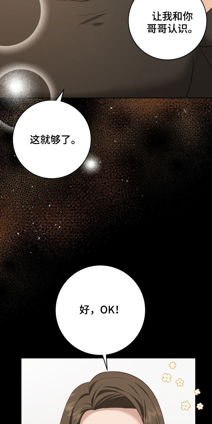 申请核减典型案例报送的情况说明漫画,第78章：【第二季】妹夫爱上我：计划成功（完）2图