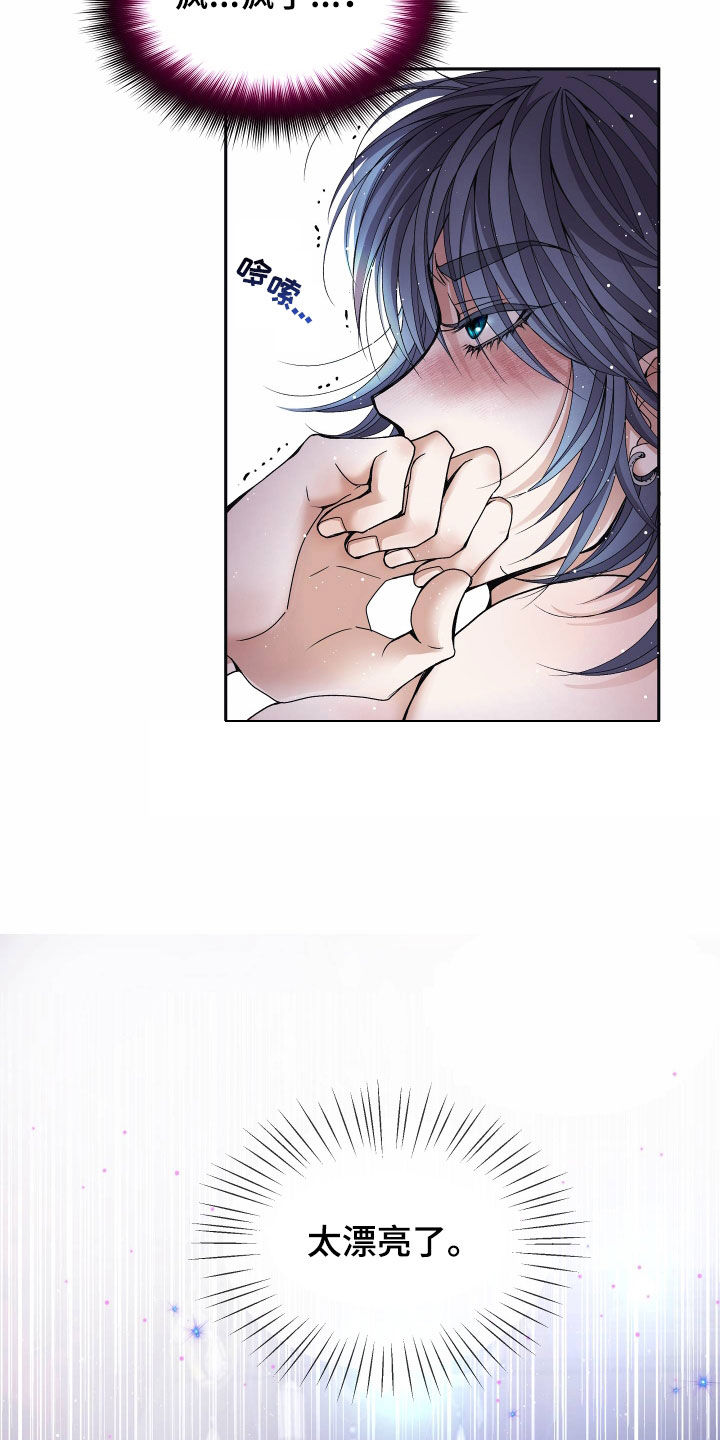 申请核减典型案例报送的情况说明漫画,第83章：【第二季】皇权与爱：都会答应1图