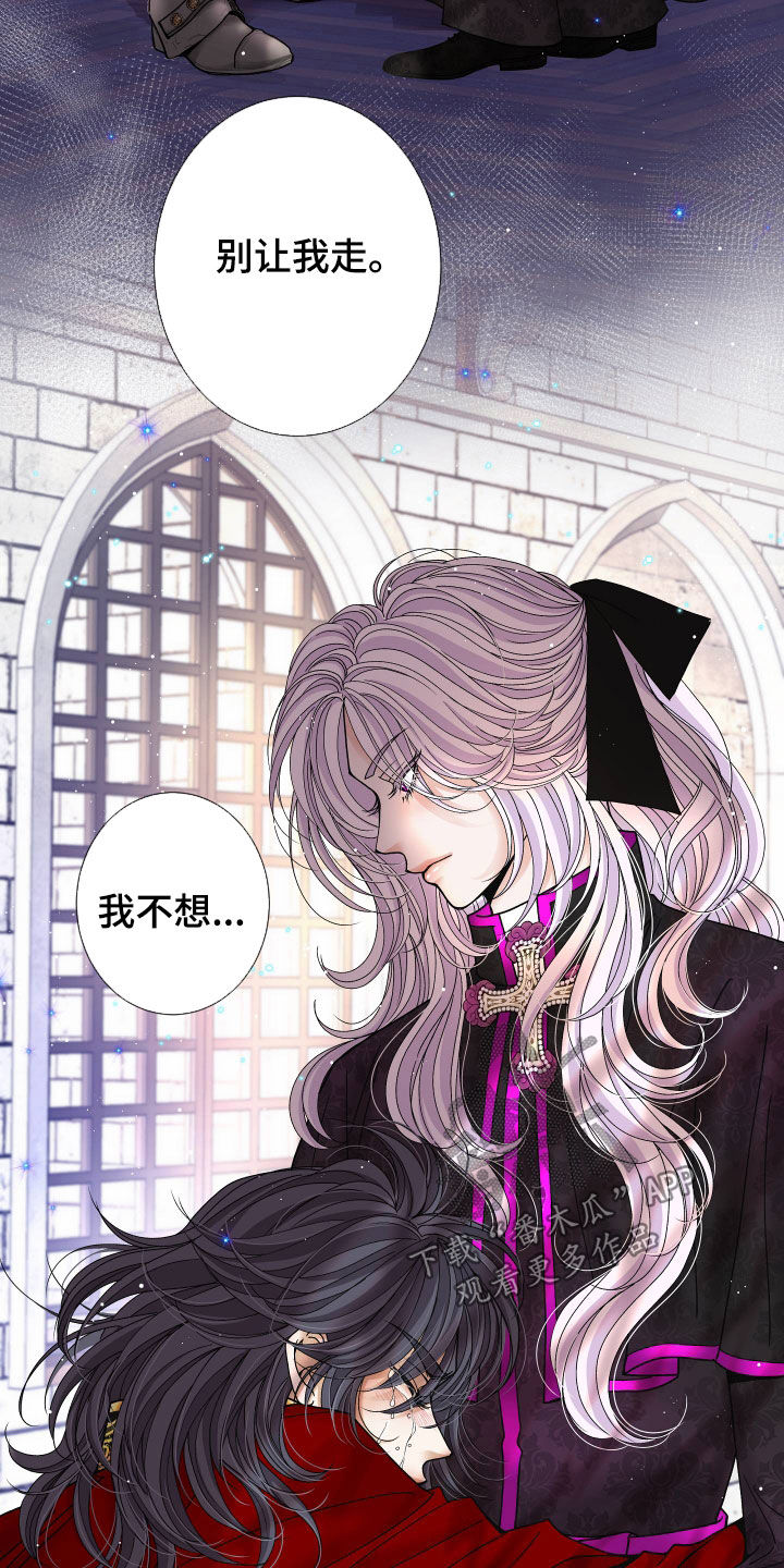 申请核减典型案例报送的情况说明漫画,第84章：【第二季】皇权与爱：新皇（完）1图