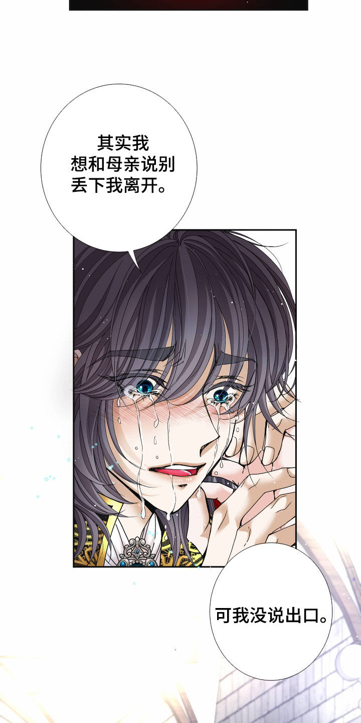 申请核减典型案例报送的情况说明漫画,第84章：【第二季】皇权与爱：新皇（完）1图