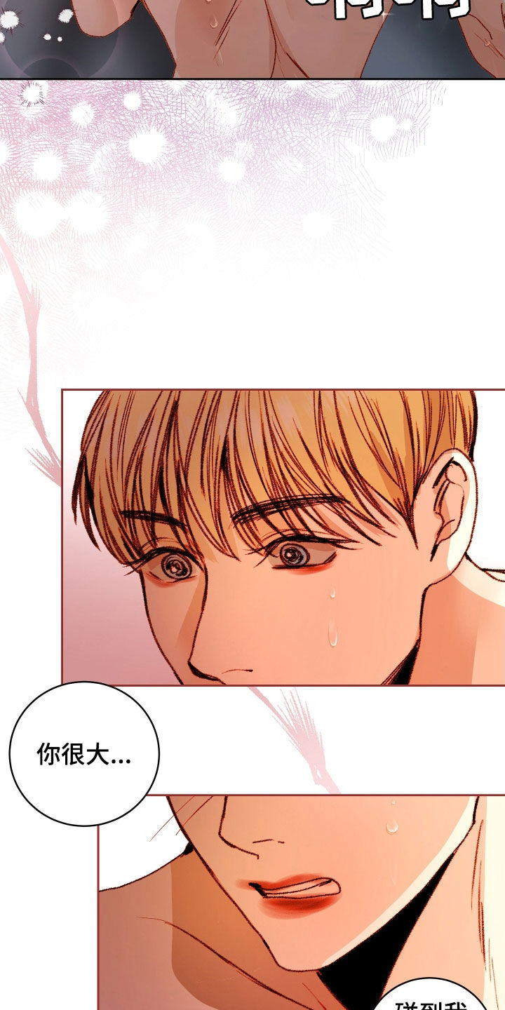 申请核减典型案例报送的情况说明漫画,第57章：【第二季】命运羁绊：据为己有（完）1图