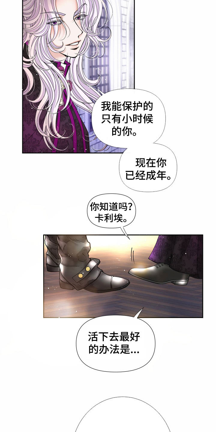 申请核减典型案例报送的情况说明漫画,第84章：【第二季】皇权与爱：新皇（完）1图