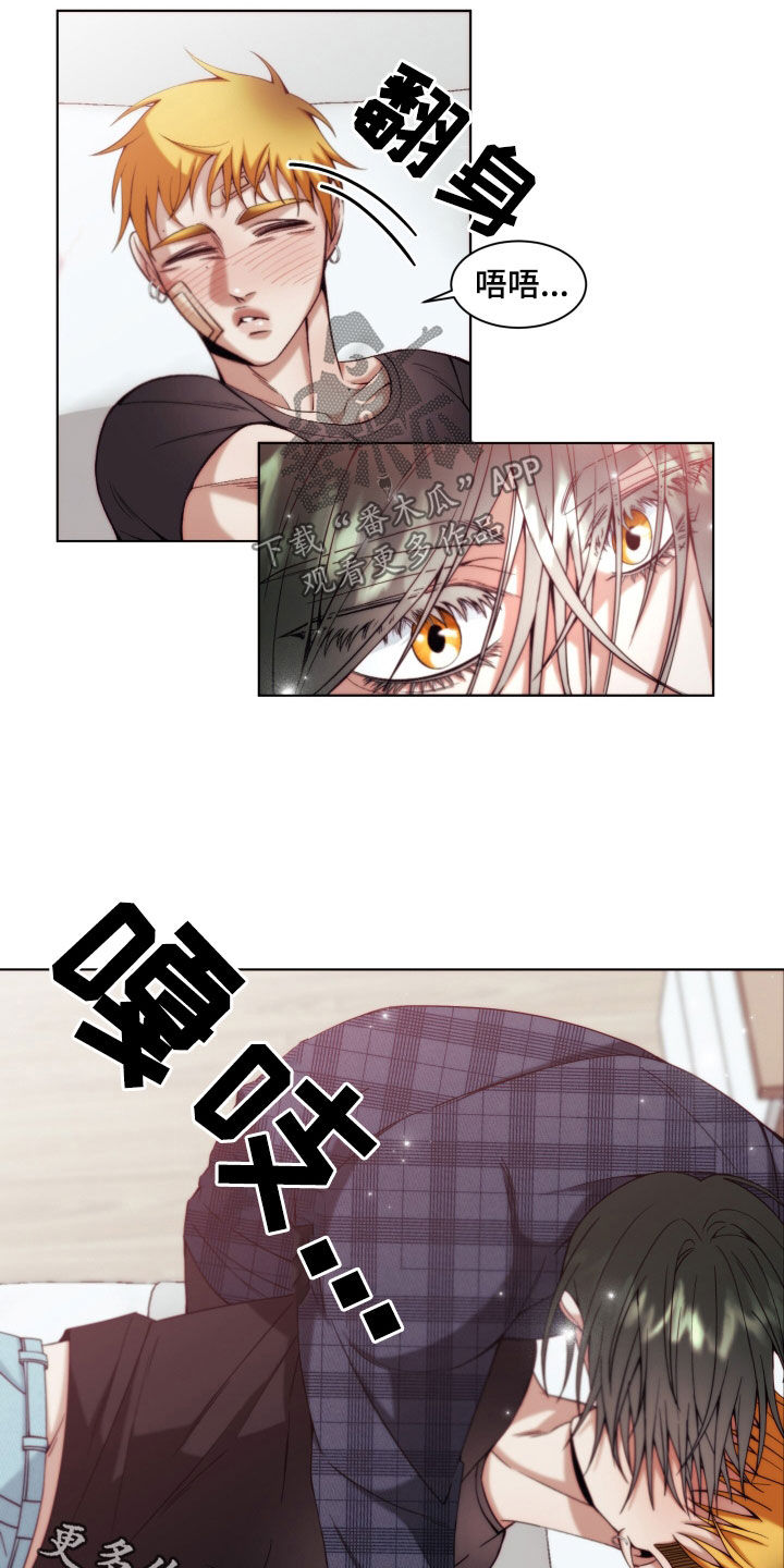 申请核减典型案例报送的情况说明漫画,第24章：【第二季】黄色男孩：都是你的错2图