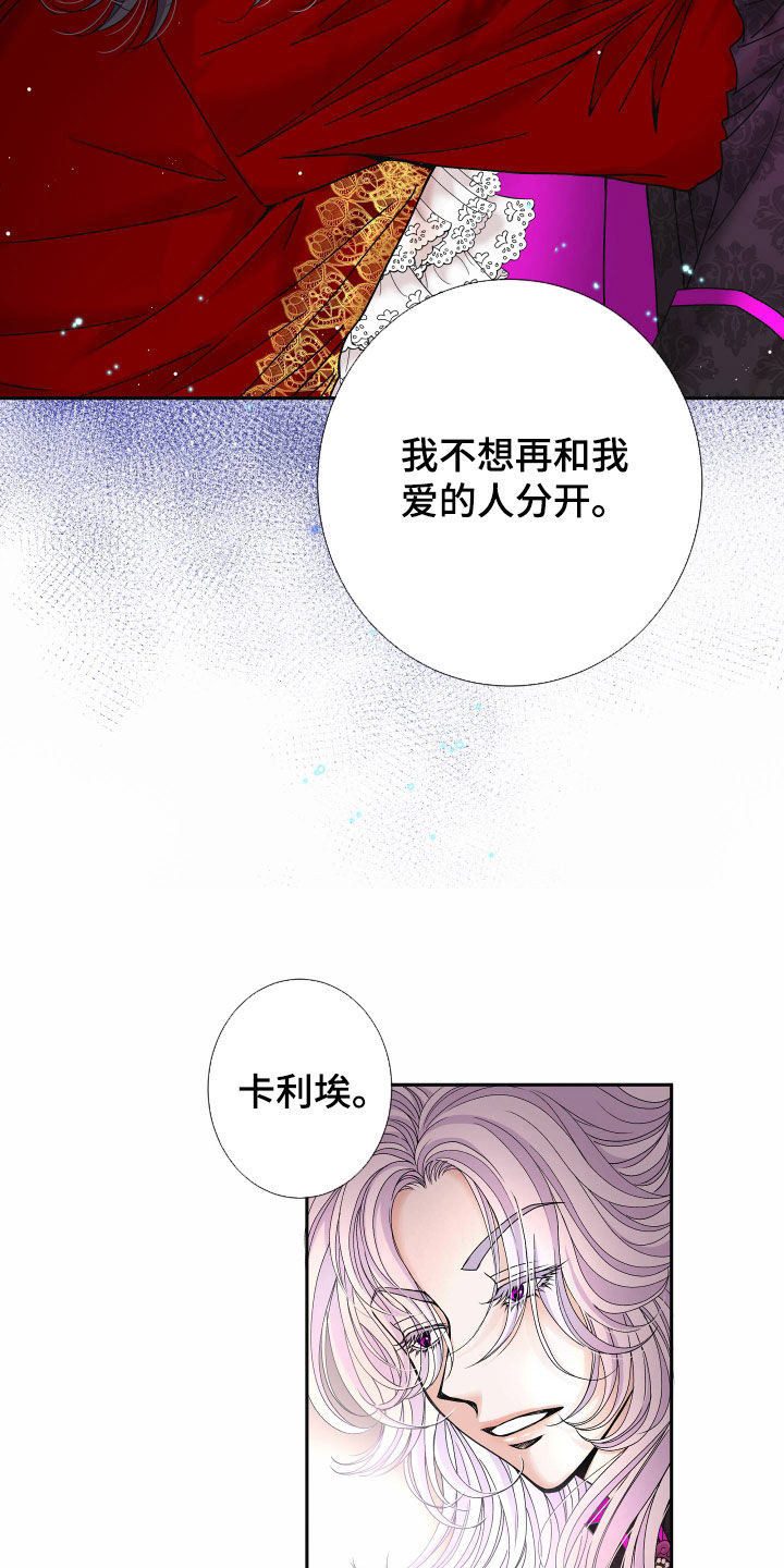 申请核减典型案例报送的情况说明漫画,第84章：【第二季】皇权与爱：新皇（完）2图