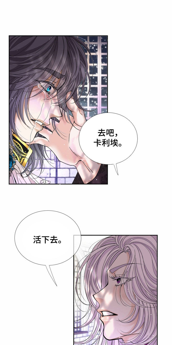 申请核减典型案例报送的情况说明漫画,第84章：【第二季】皇权与爱：新皇（完）1图