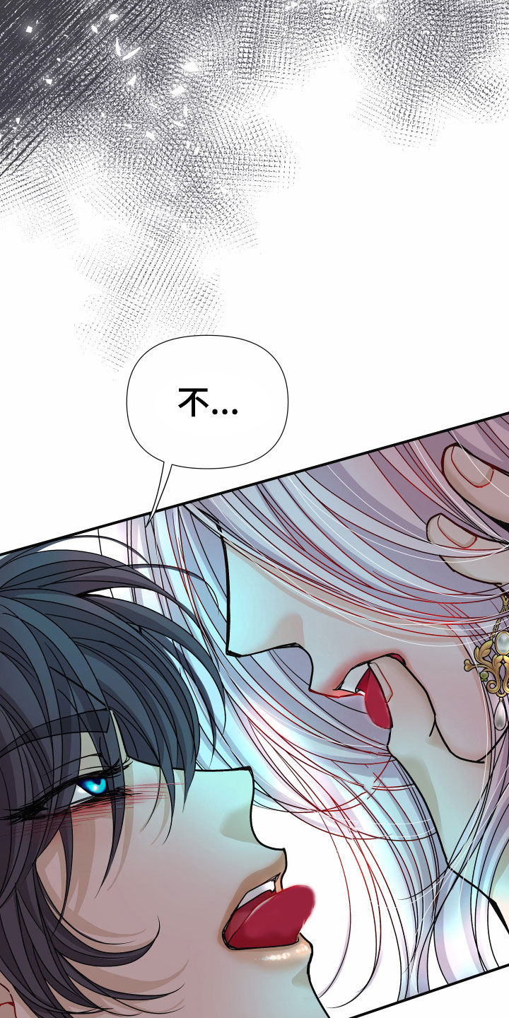 申请核减典型案例报送的情况说明漫画,第79章：【第二季】皇权与爱：一场错误1图