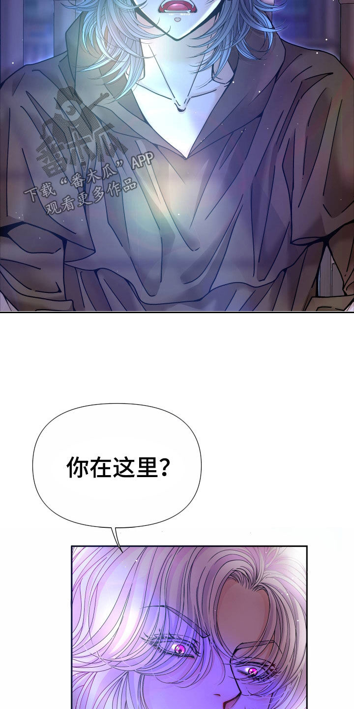 申请核减典型案例报送的情况说明漫画,第82章：【第二季】皇权与爱：更可怕的人2图