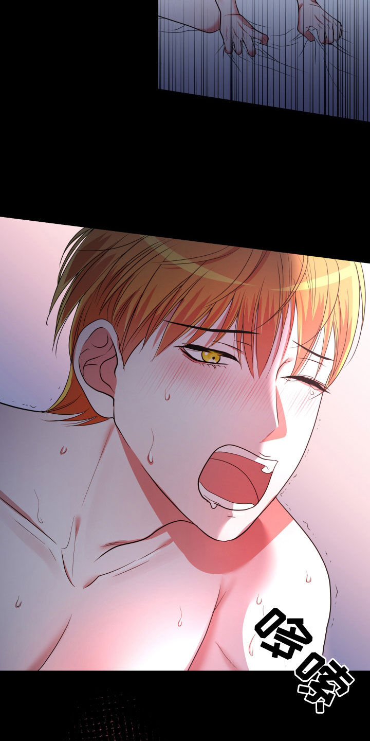 申请核减典型案例报送的情况说明漫画,第49章：【第二季】孤僻万人迷：正式交往1图