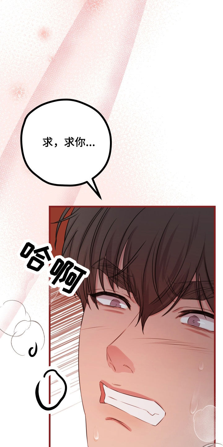 申请核减典型案例报送的情况说明漫画,第64章：【第二季】野兽与疯狗：无法摆脱（完）2图