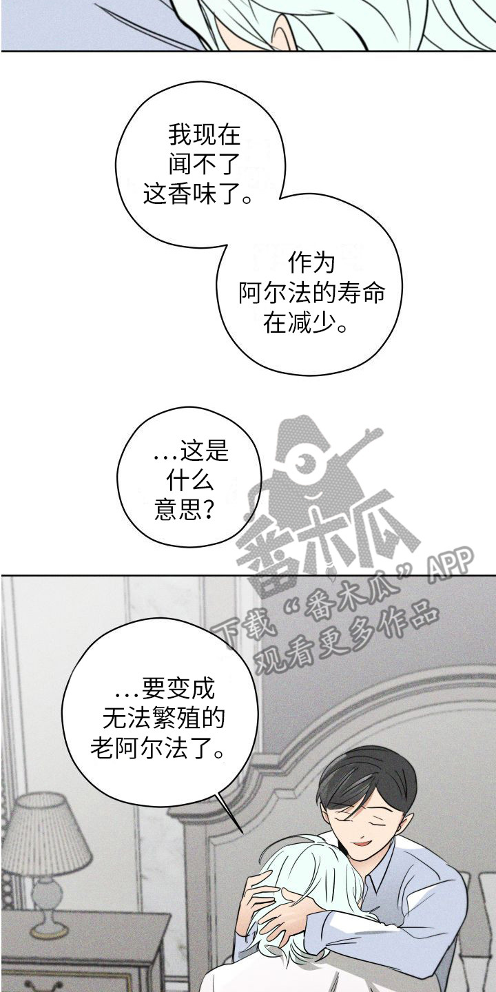 荷尔蒙香水漫画,第9章：沉重的心意 2图