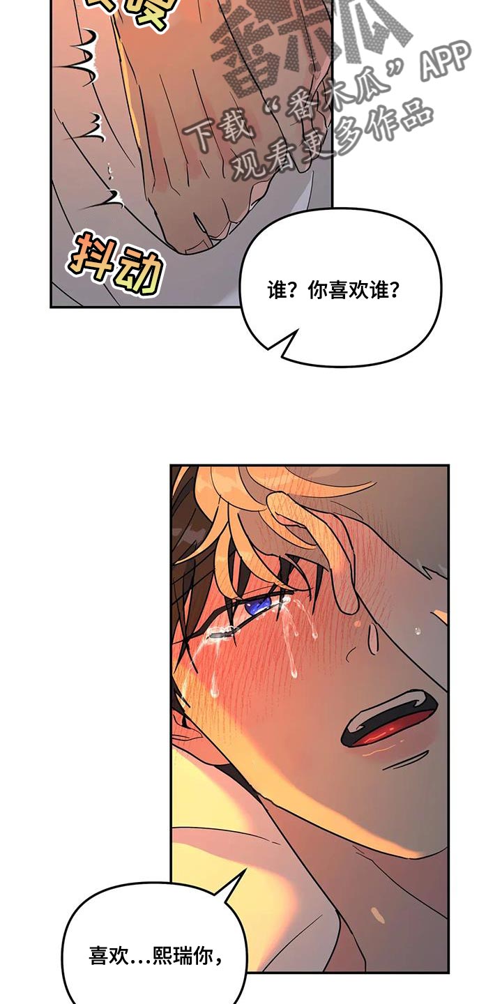 无根之树未增删42章漫画,第43章：我也喜欢你2图