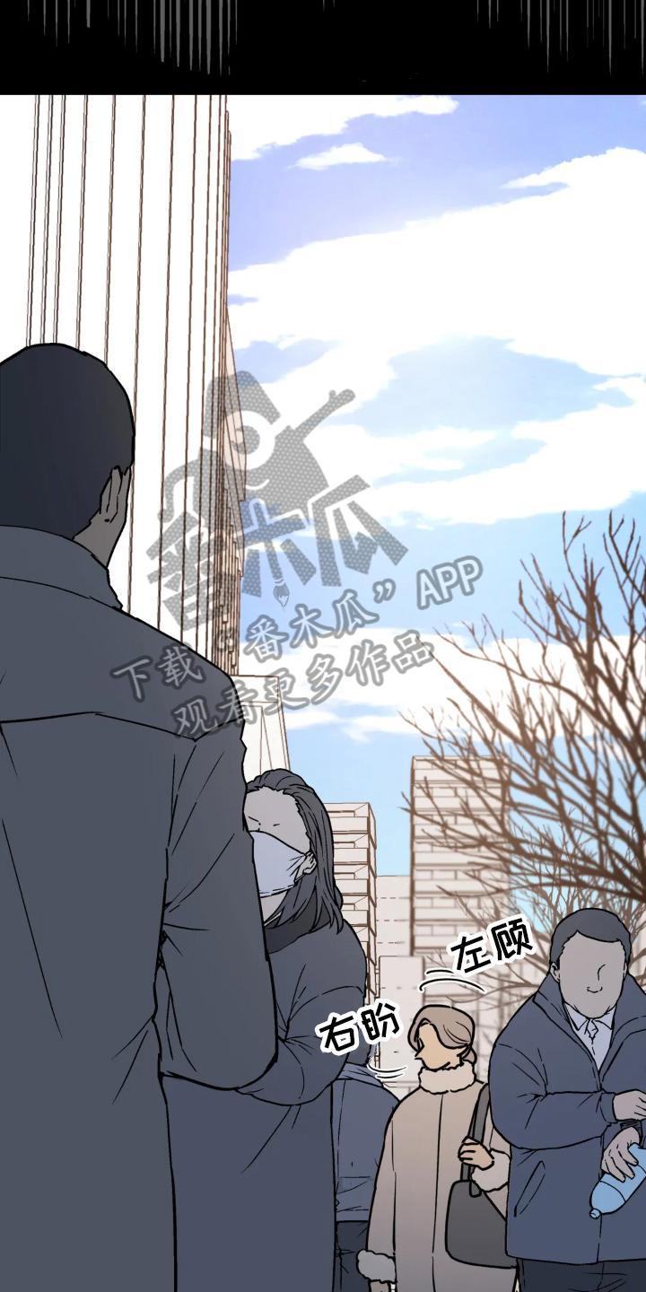 无根之树免费阅读无删减漫画,第17章：躲藏1图