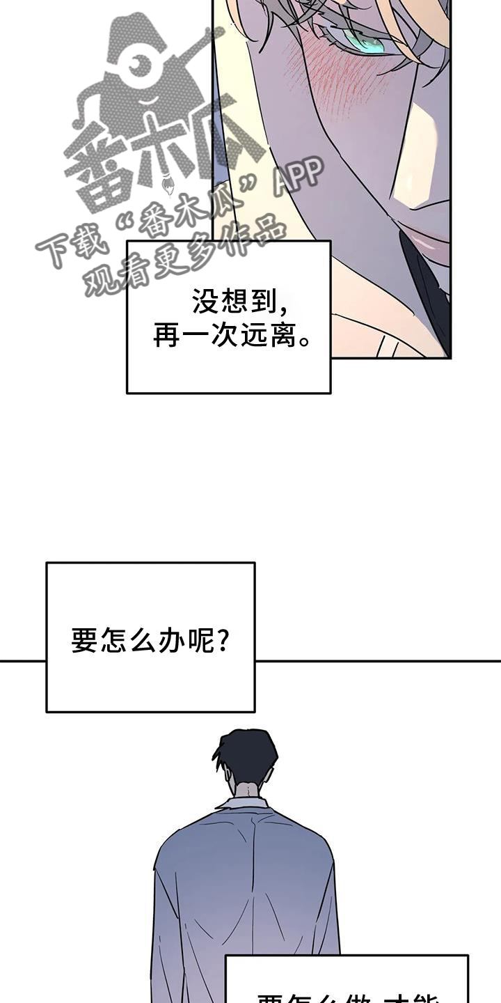 无根之树未增删开车漫画,第38章：梦话2图