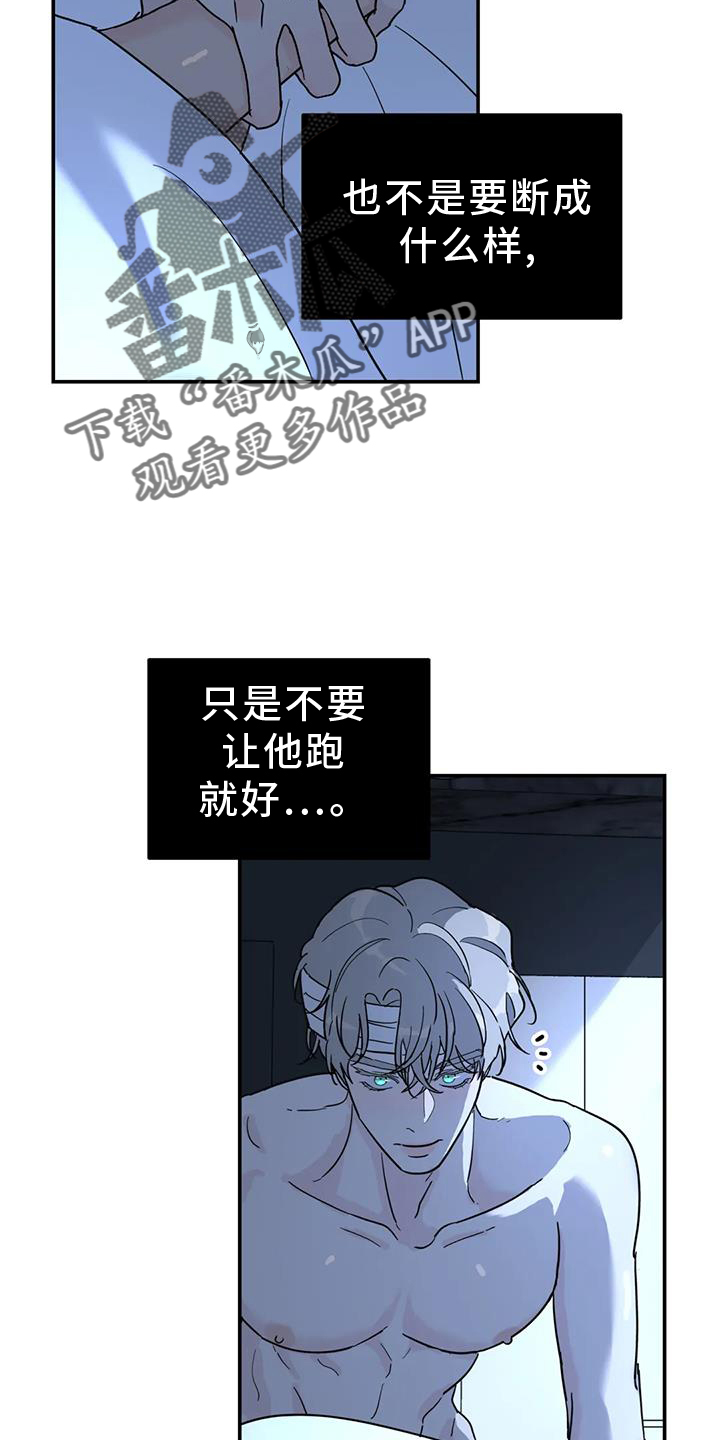 无根之树第二季未增删最新话在线看免费版漫画,第64章：安慰2图