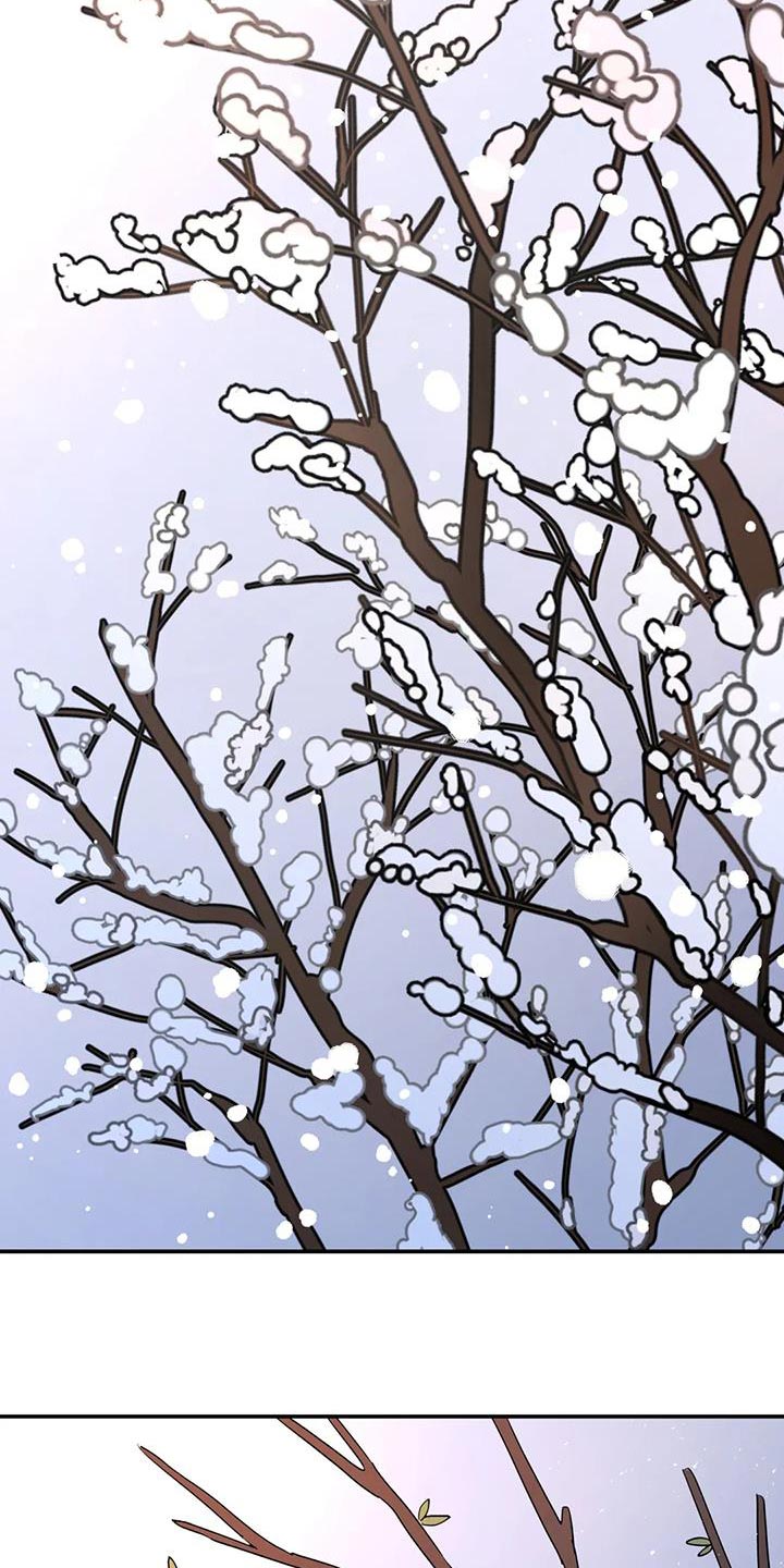 无根之树漫画,第55章：神奇的人2图
