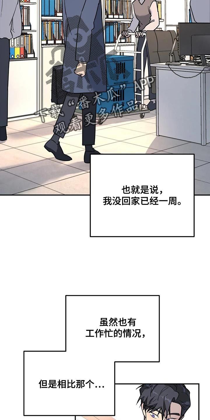 无根之树韩漫漫画,第46章：谎话精2图