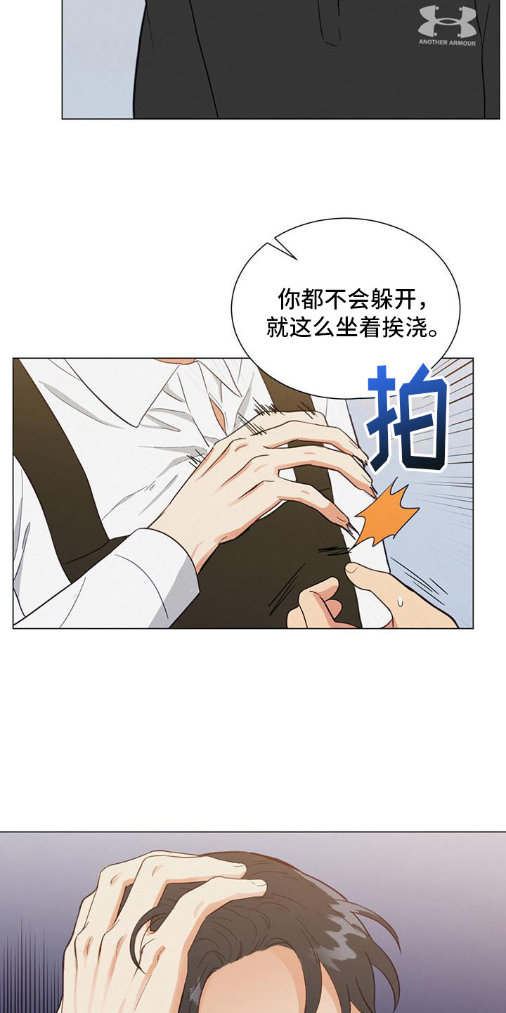 发财树怎么养漫画,第10章：冲突1图