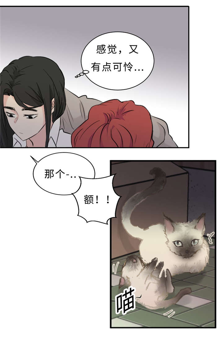 相似形态选股设置漫画,第30章：不喜欢你1图