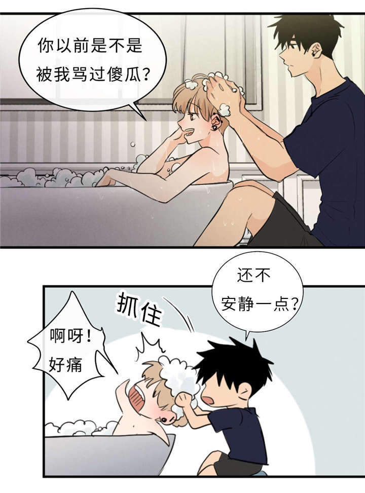 相似形态漫画免费阅读下拉式漫画,第48章：浴室1图