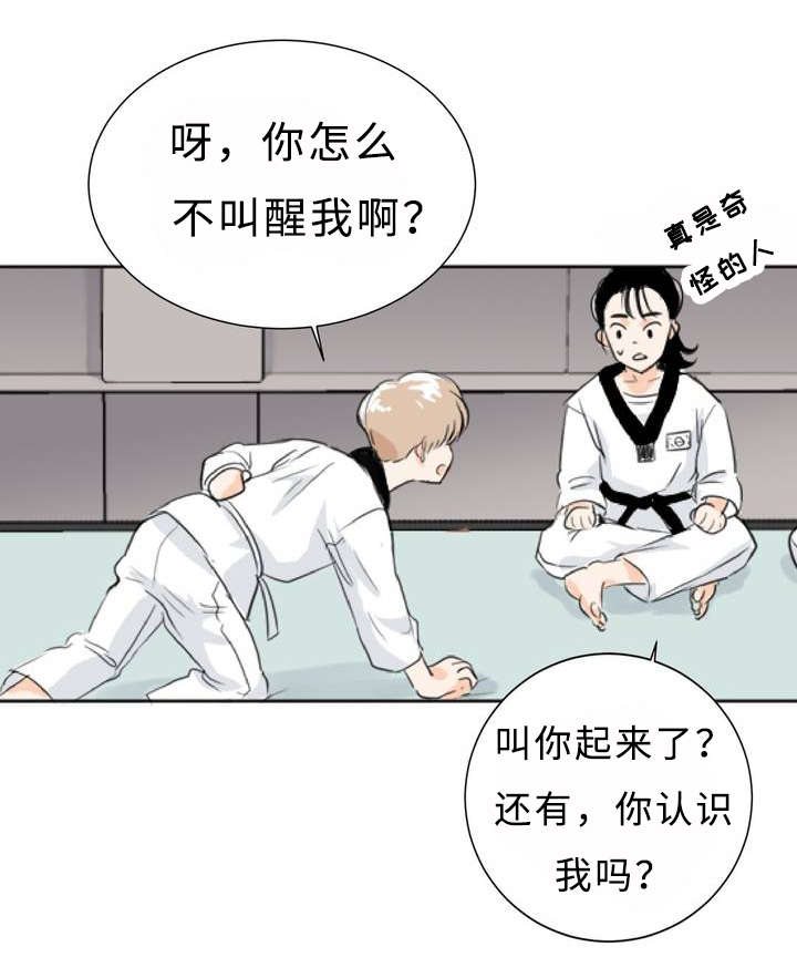 相似形态漫画,第1章：目不斜视2图