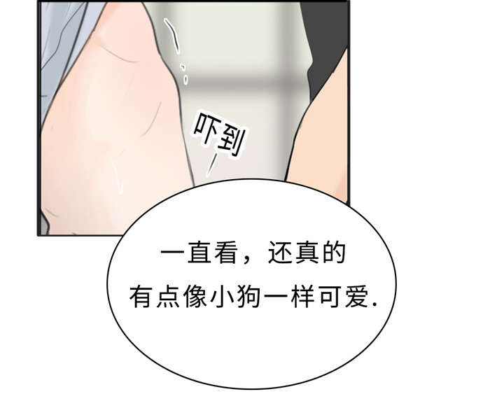 相似形态NS漫画,第24章：变态2图