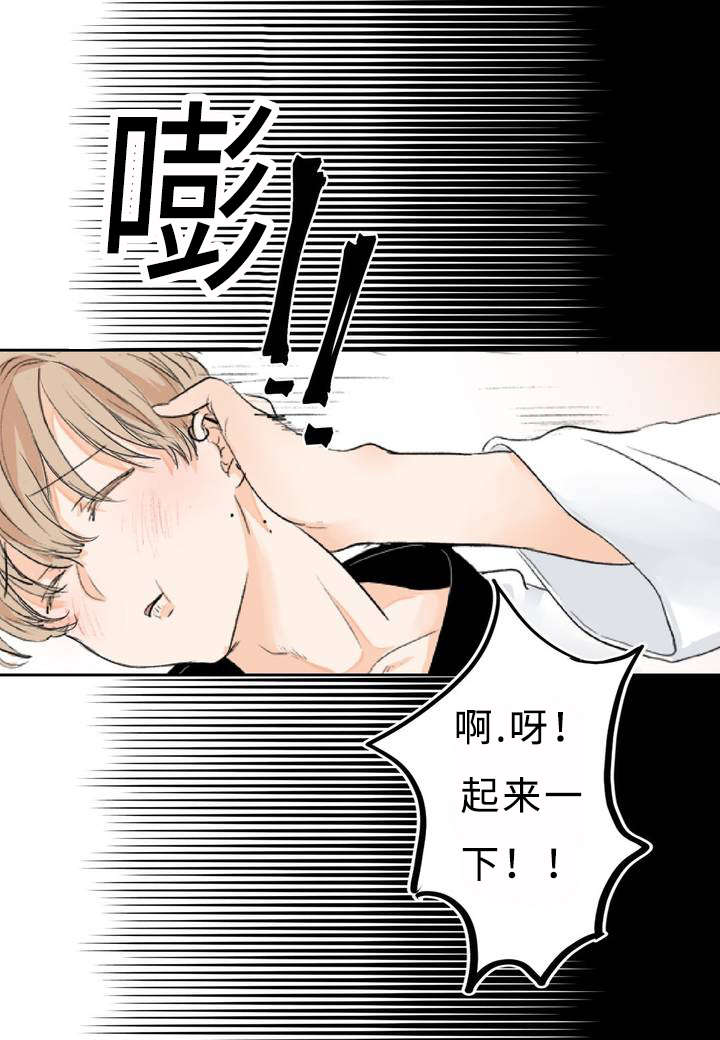 相似形态漫画,第1章：目不斜视2图