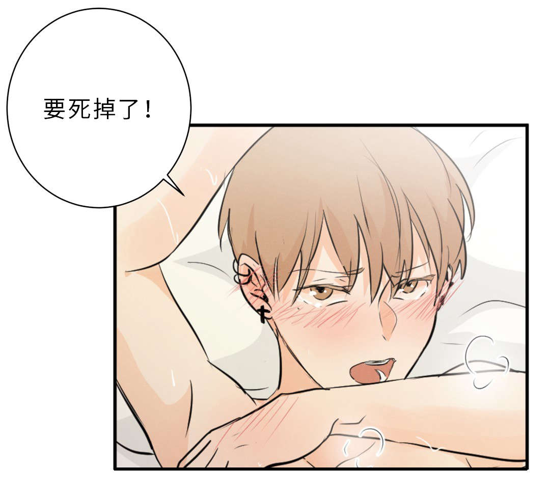 相似形态选股设置漫画,第55章：想找回在原吗1图