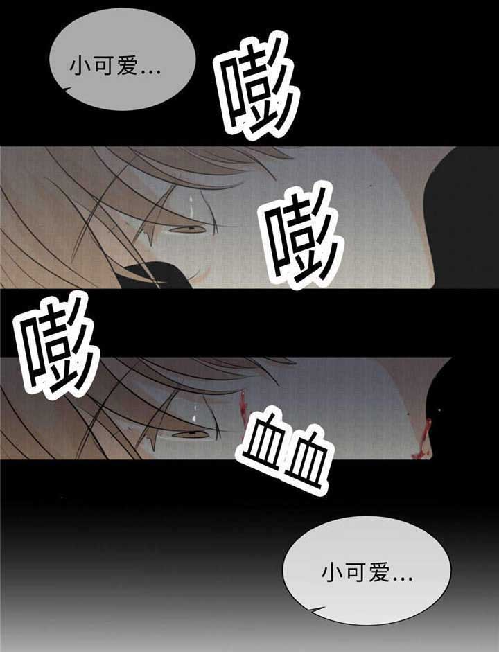 相似形态在线阅读漫画,第37章：打屁屁2图