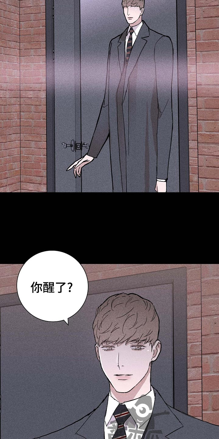 与男人结婚漫画在哪个软件看漫画,第73章：【第二季】伙伴2图