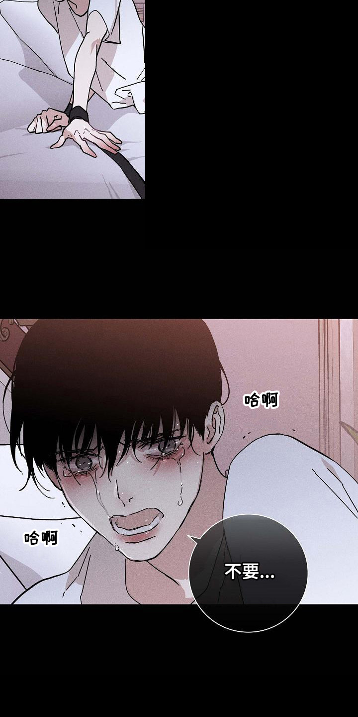 与男人结婚李剑漫画在线阅读漫画,第104章： 【第二季】上等新品2图