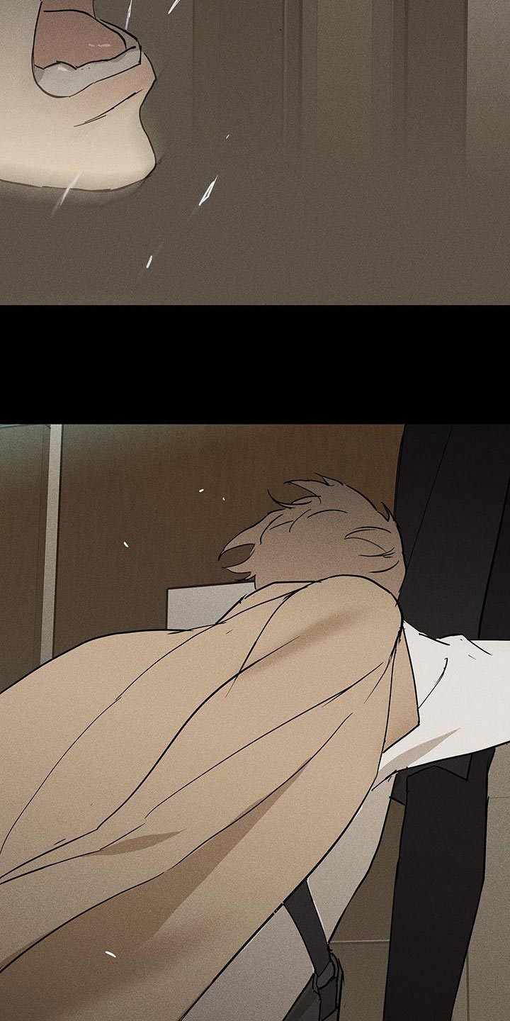 与男人结婚李剑漫画在线阅读漫画,第149章：【第二季】骗人2图