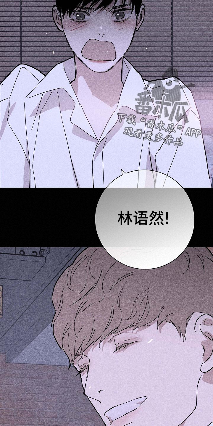 与男人结婚漫画免费下拉式阅读完整版漫画,第73章：【第二季】伙伴2图