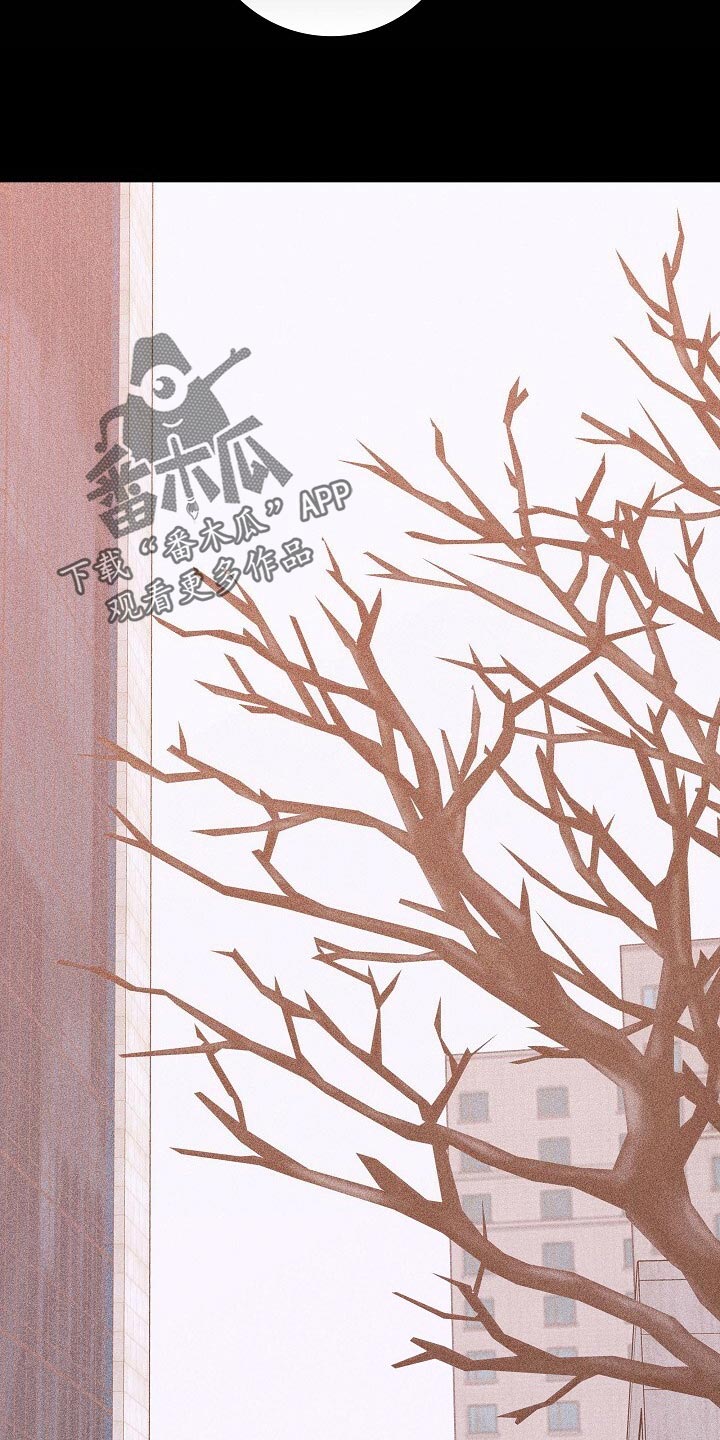 与男人结婚完整版在哪看漫画,第75章：【第二季】出门约会2图