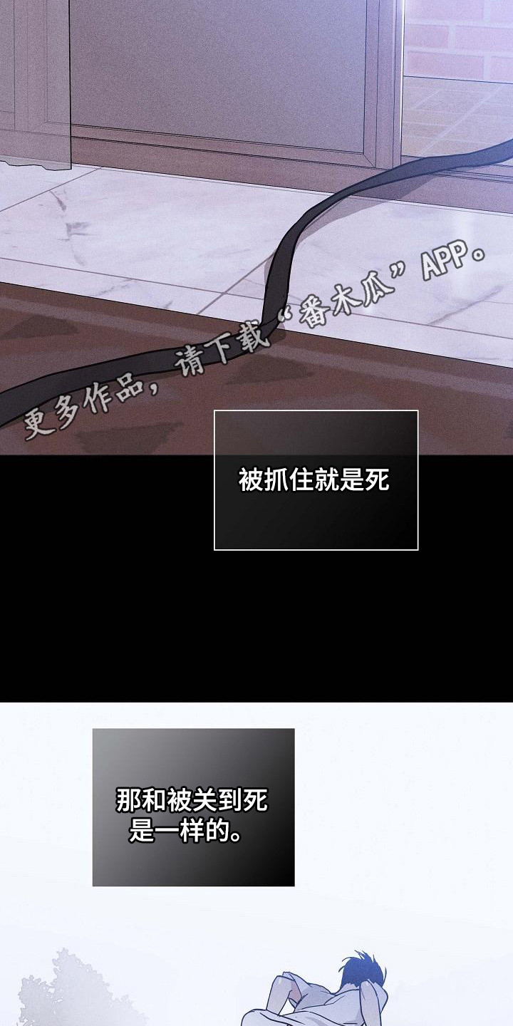 与男人结婚李剑爱白毛吗漫画,第109章：【第二季】逃跑1图