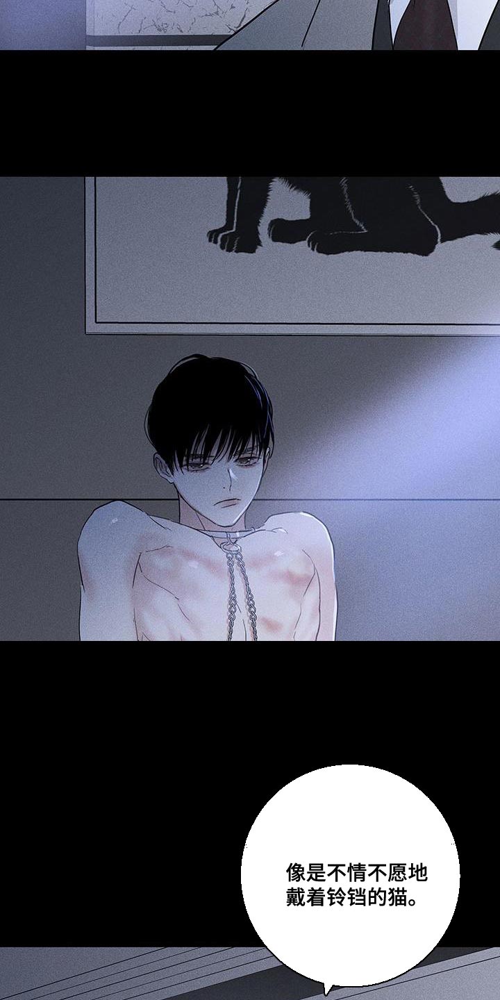 与男闺蜜接吻算出轨吗漫画,第166章：【第二季】不情不愿地猫2图