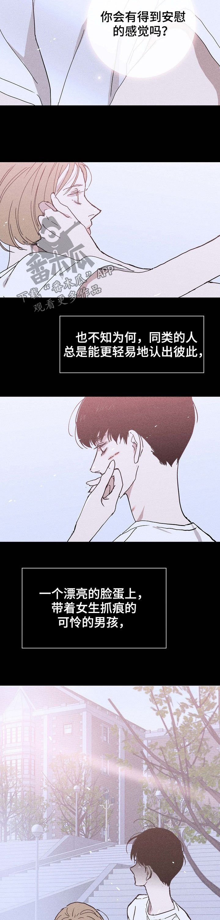 与男人结婚李剑微博漫画,第32章：互相支撑2图