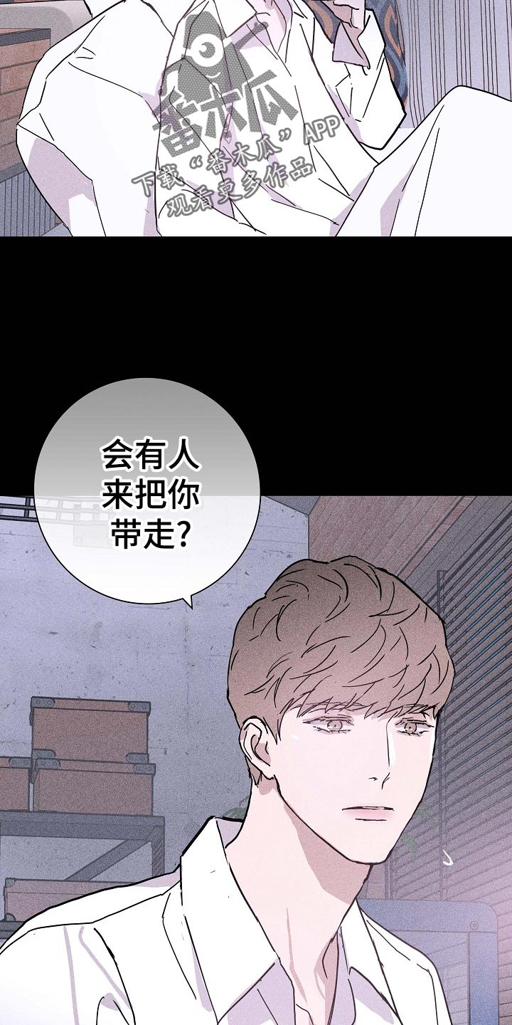 与男人结婚李剑漫画在线阅读漫画,第71章：【第二季】毫无表情1图