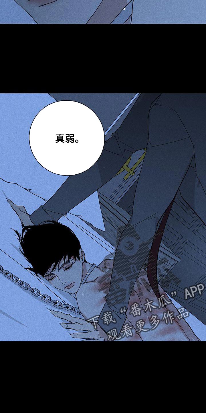 与男人结婚漫画,第161章：【第二季】真弱1图