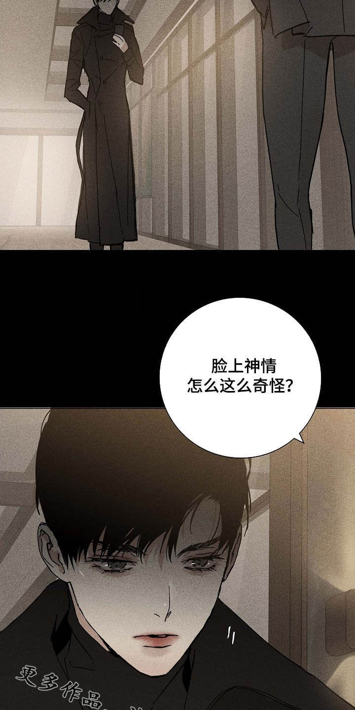 与男人结婚李剑漫画在线阅读漫画,第52章：豪赌1图