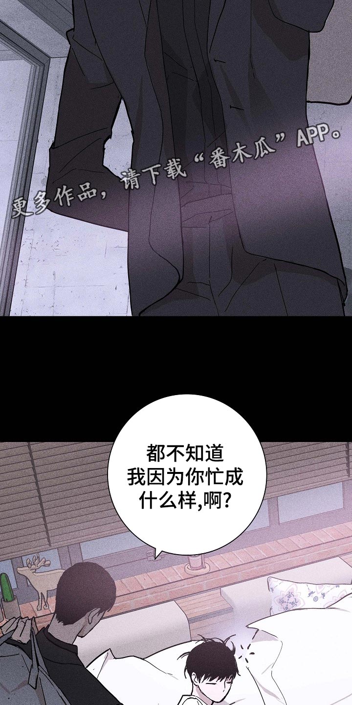 与男人结婚漫画在哪个软件看漫画,第73章：【第二季】伙伴1图