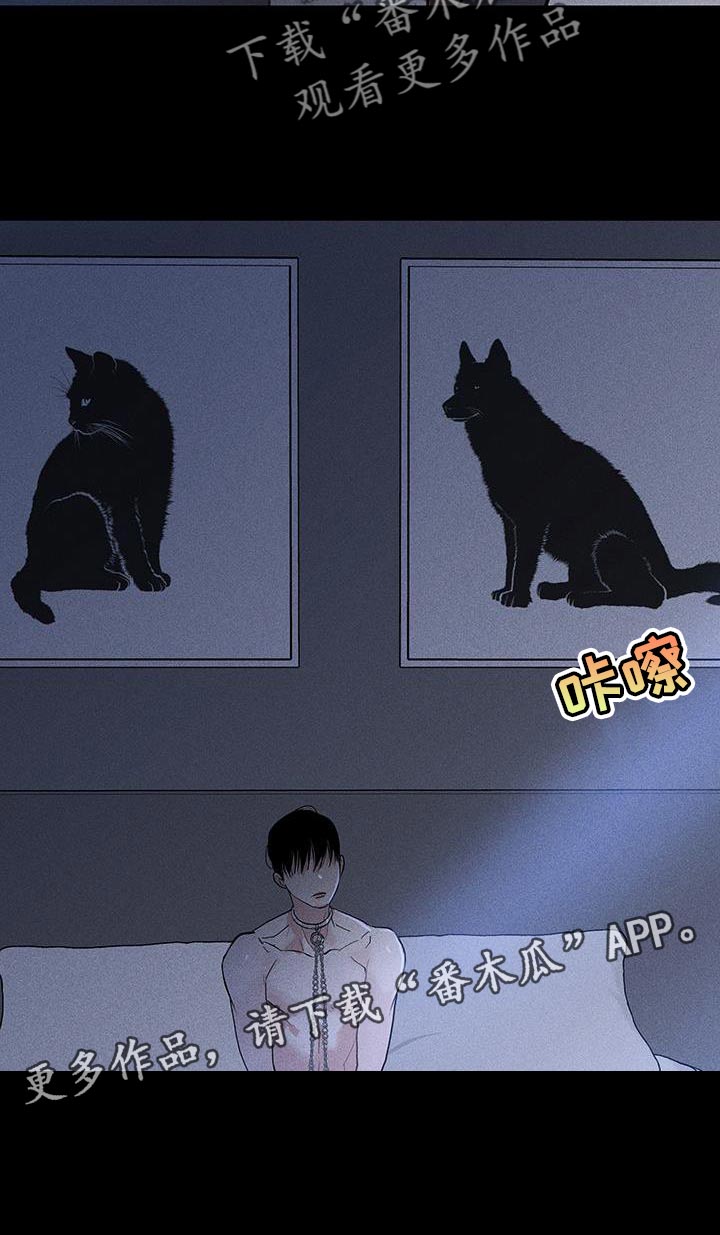 与男人结婚漫画,第166章：【第二季】不情不愿地猫1图
