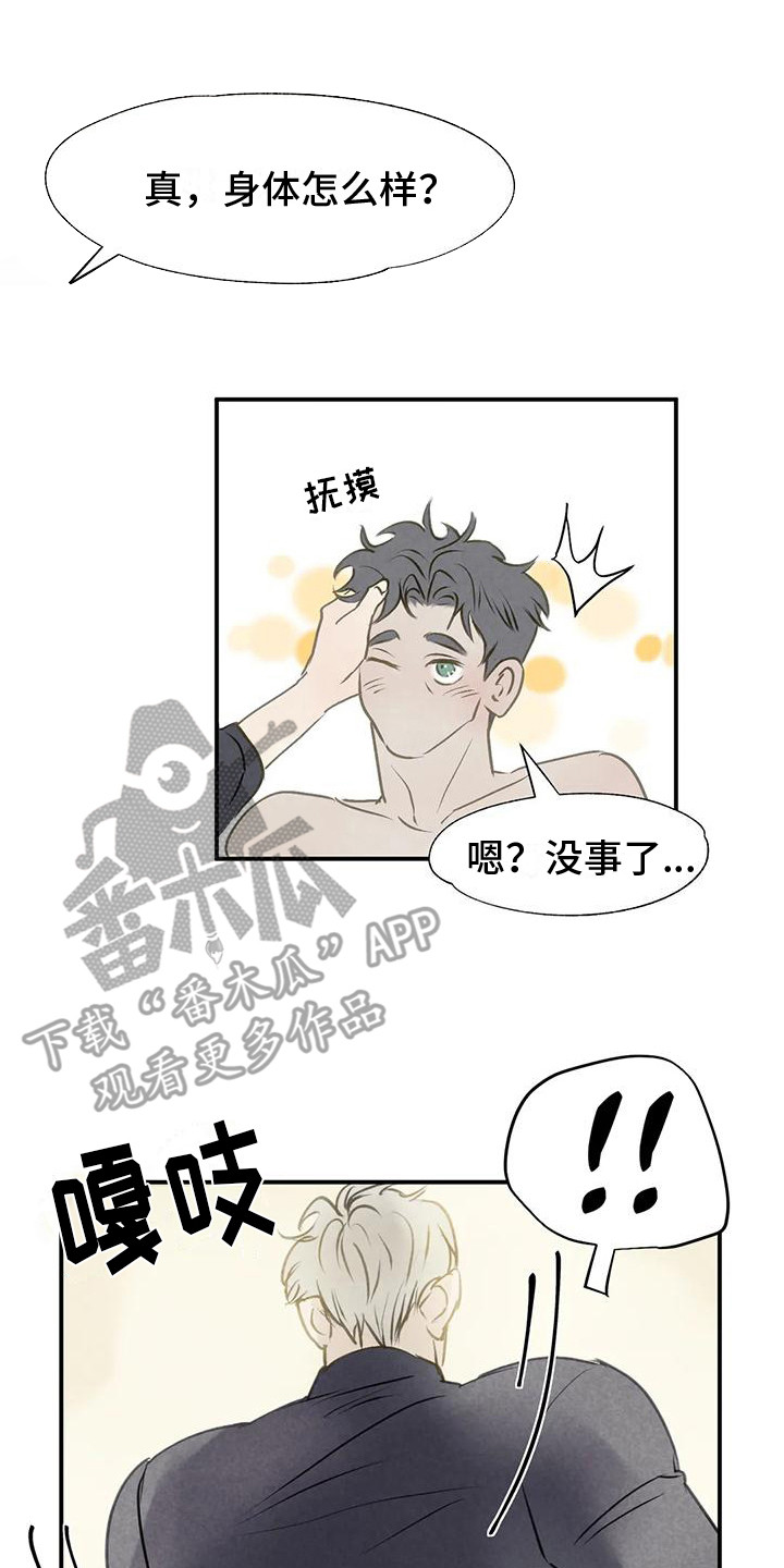 杀手恋爱的小说大全漫画,第8章：抓紧时间 1图