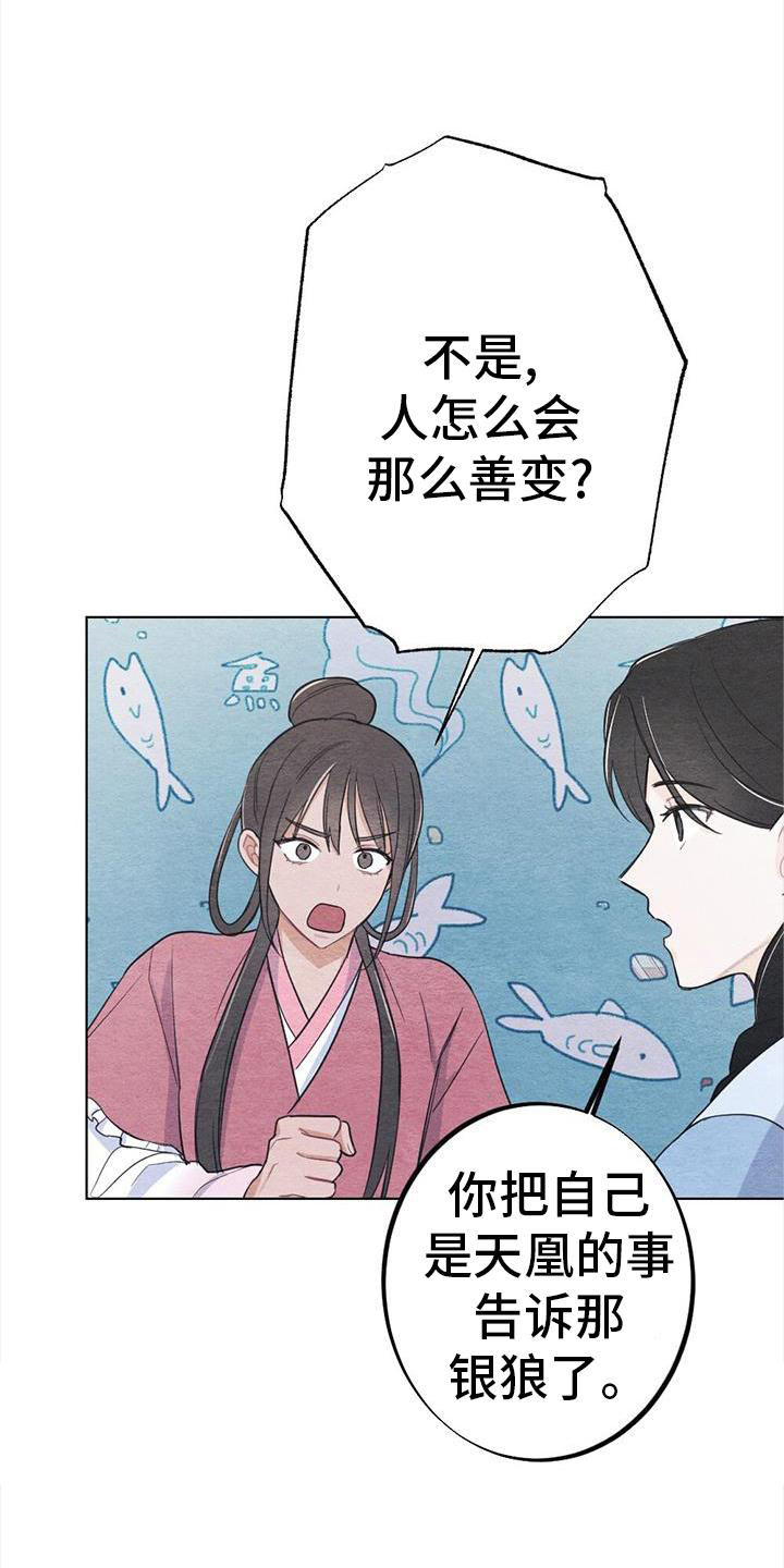 银狼的疼爱漫画,第33章：怎么办1图