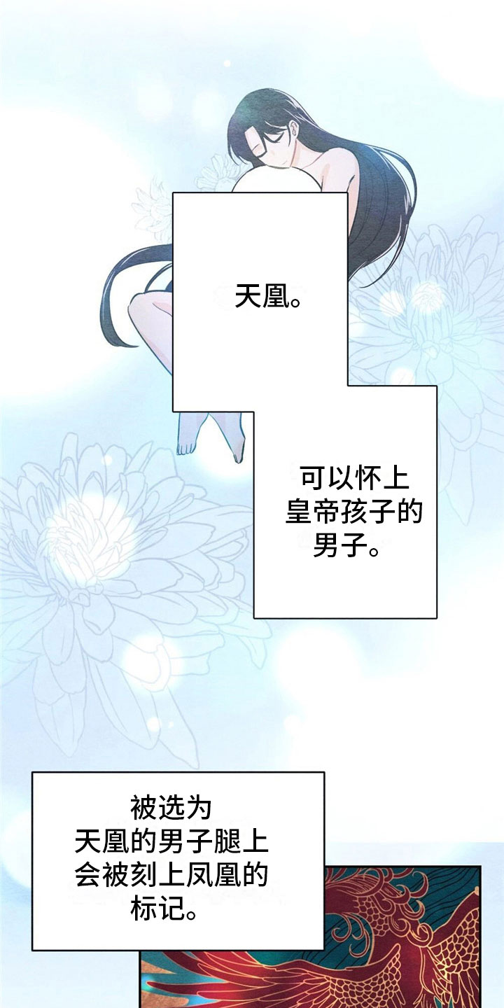 银狼的疼爱漫画,第2章：天凰1图